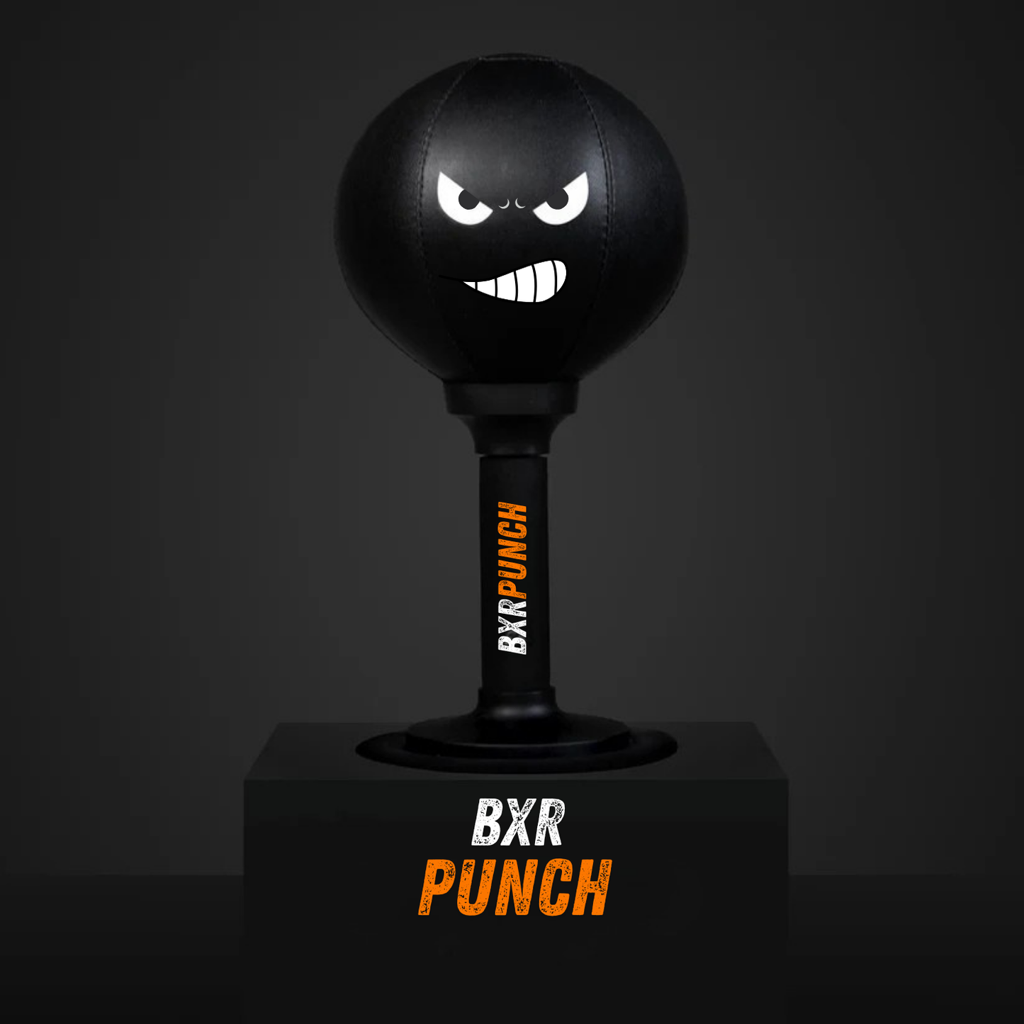 BXR-Punch Rage Bag